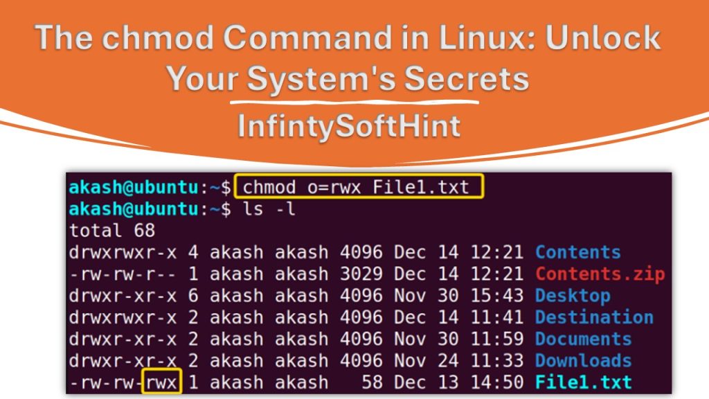 The chmod Command in Linux: Unlock Your System’s Secrets