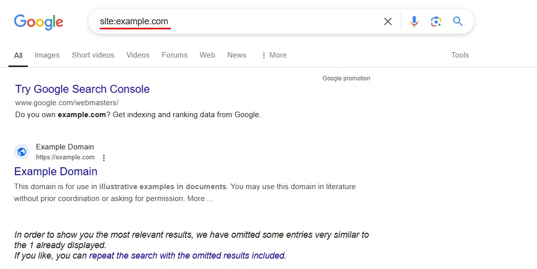 Site Search Operator